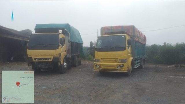 Dugaan Pembalakan Liar Kembali Mencuat di Pelalawan, Dua Truk Kayu Alam Jadi Sorotan Publik