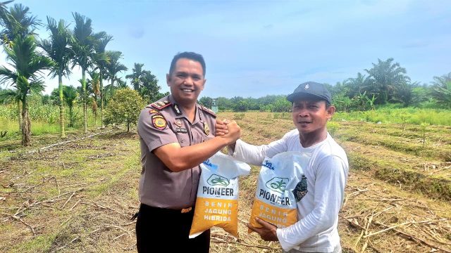 Demi memenuhi Ketahanan Pangan Nasional Polsek Koto Gasib salurkan benih jagung pipil kepada Kelompok Tani Mekar Sari